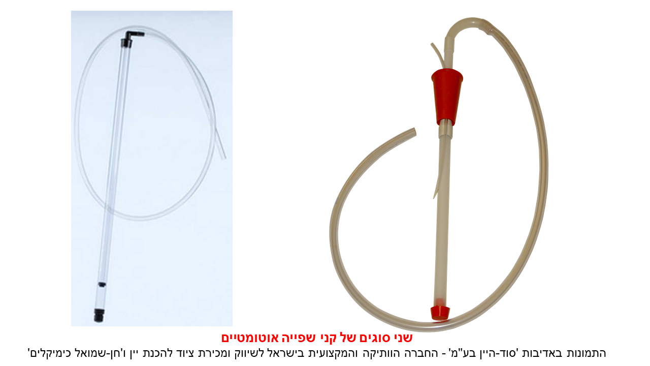 שפייה.png